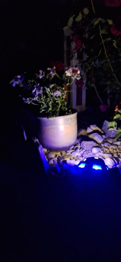 Apartman Sanja Kampor Buitenkant foto